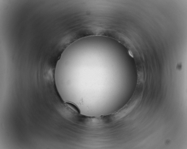 X0000102760286200808251036