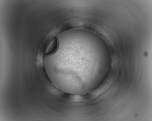 X0000102760287200808251036