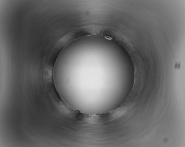 X0000102760288200808251036