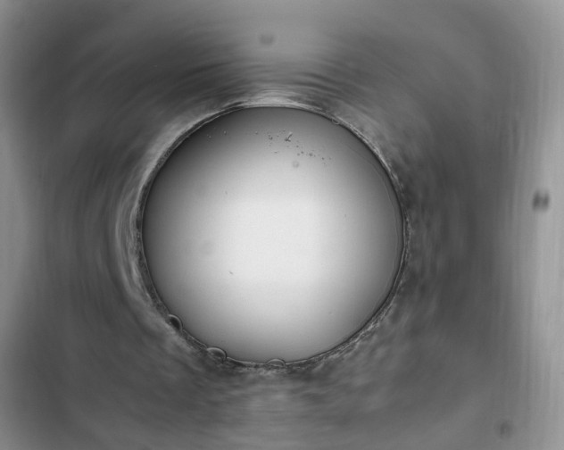 X0000102760289200808251035