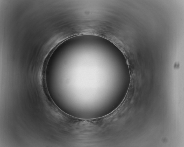 X0000102760290200808251035