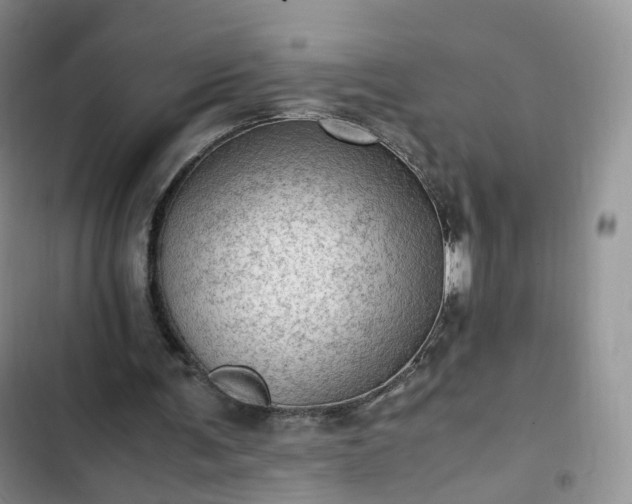 X0000102760291200808251035