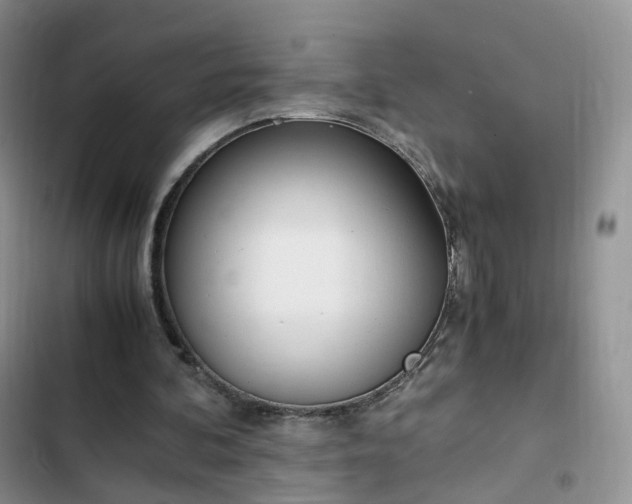 X0000102760292200808251035