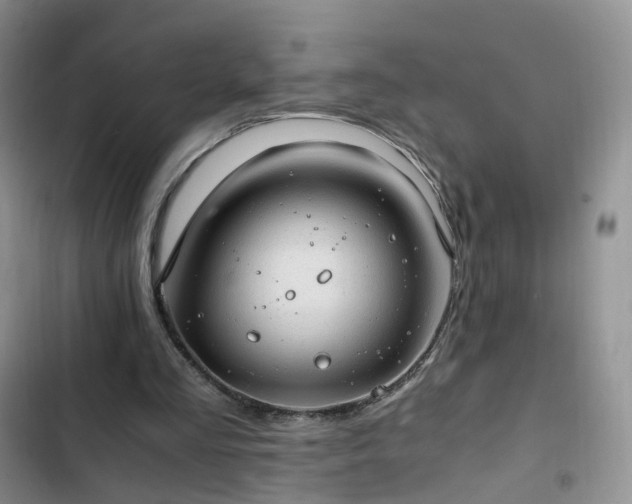 X0000102760293200808251035