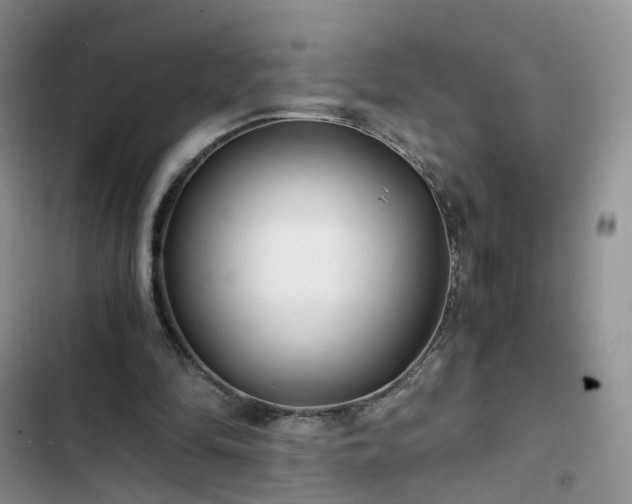 X0000102760294200808251035