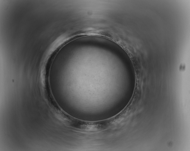 X0000102760295200808251035