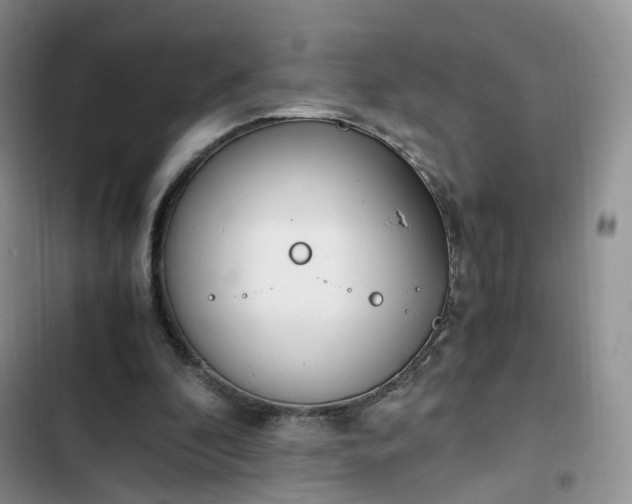 X0000102760296200808251035