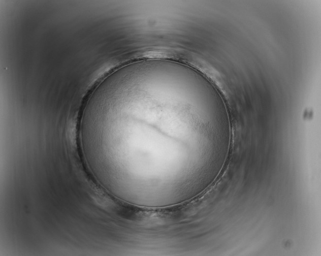 X0000102760297200808251035