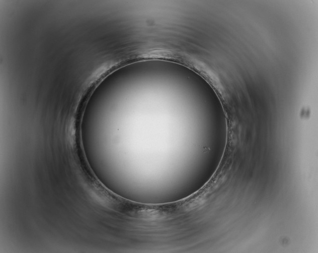 X0000102760298200808251035