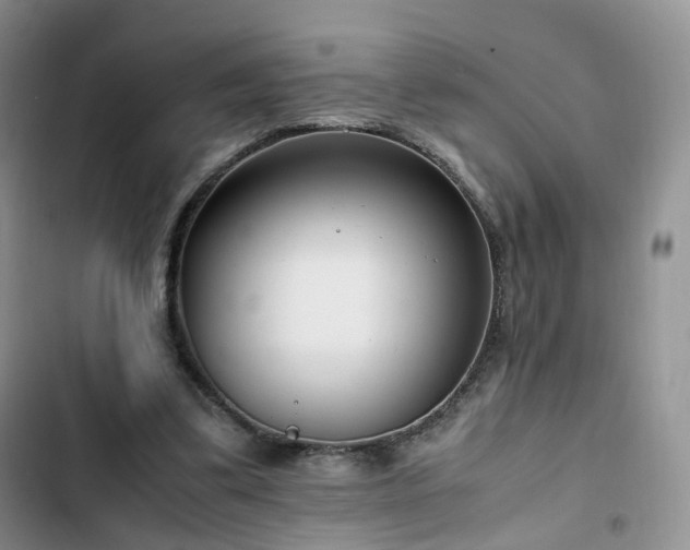 X0000102760299200808251035