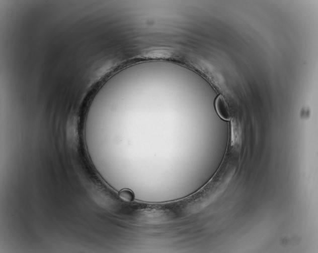 X0000102760300200808251035