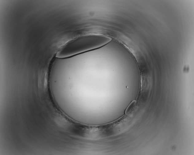 X0000102760301200808251035