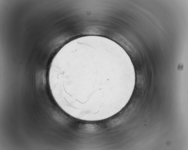 X0000102760302200808251035