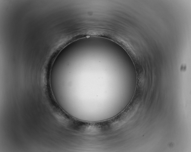 X0000102760303200808251035