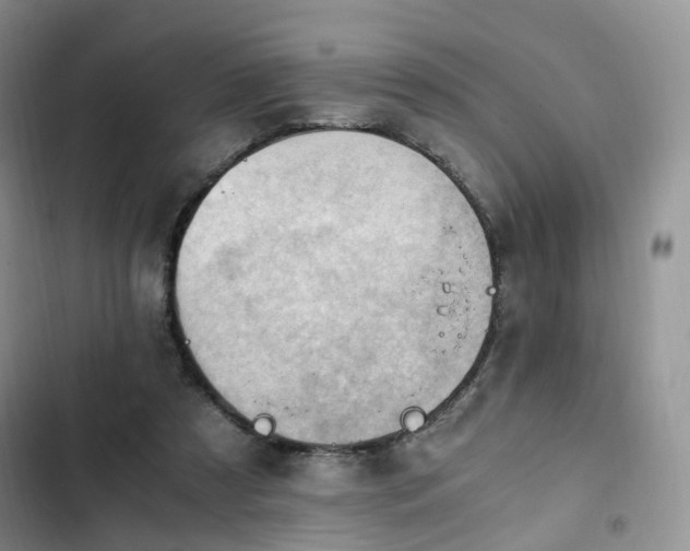 X0000102760305200808251035