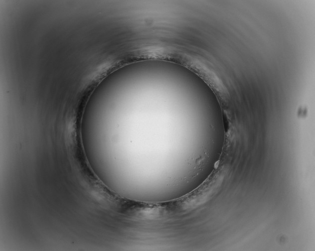 X0000102760306200808251035