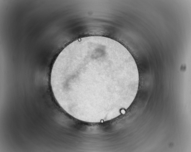 X0000102760309200808251035