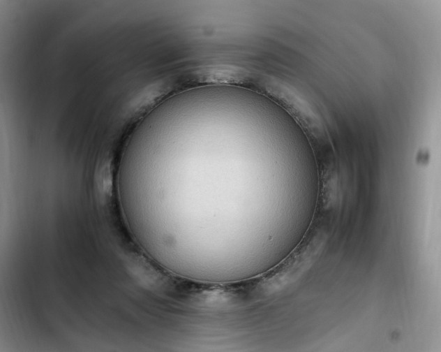 X0000102760310200808251035