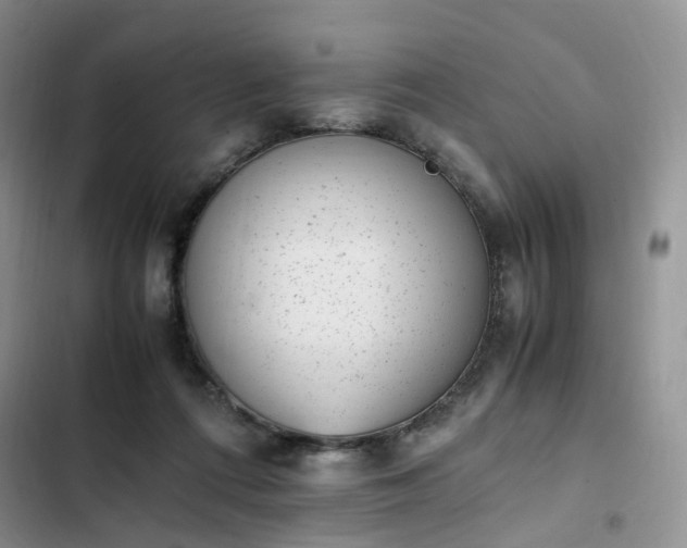 X0000102760312200808251035