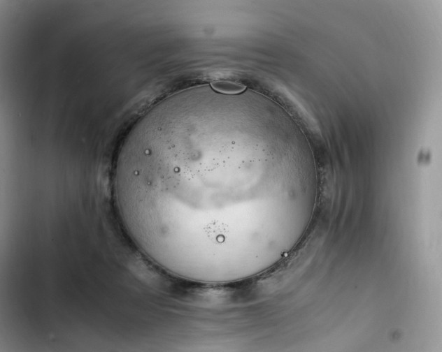 X0000102760313200808251035