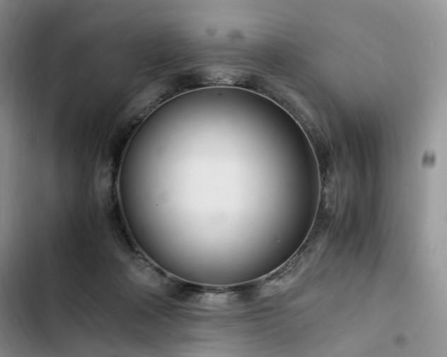 X0000102760314200808251035