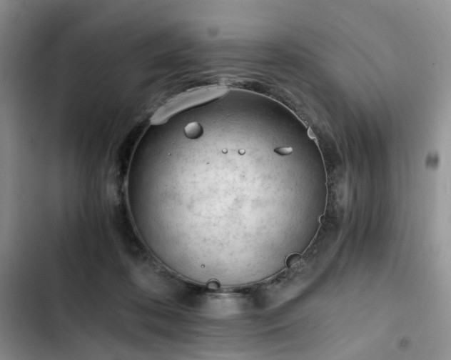 X0000102760316200808251035