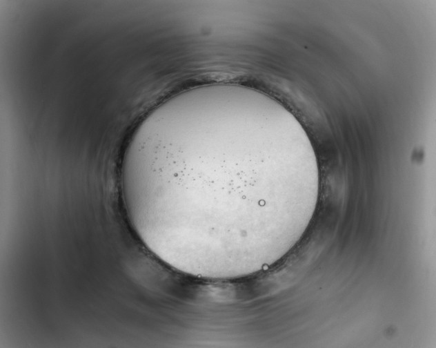 X0000102760317200808251035