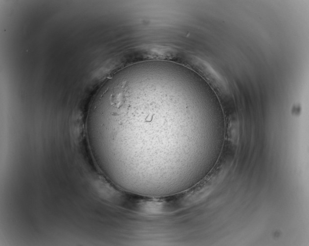 X0000102760318200808251035