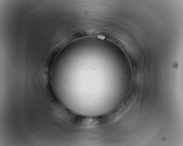 X0000102760319200808251035