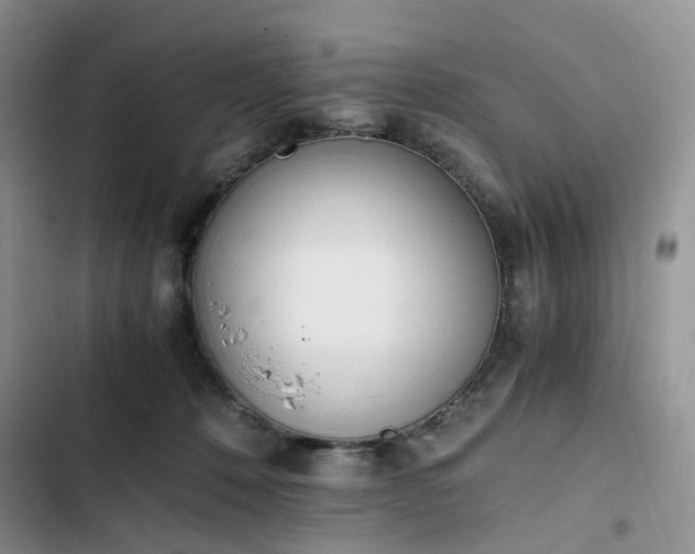 X0000102760320200808251035