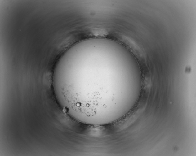 X0000102760321200808251035