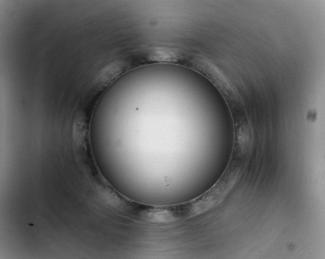 X0000102760322200808251034