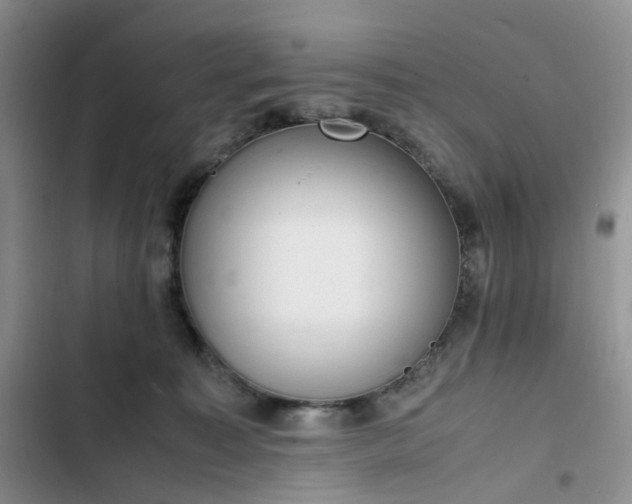 X0000102760323200808251034