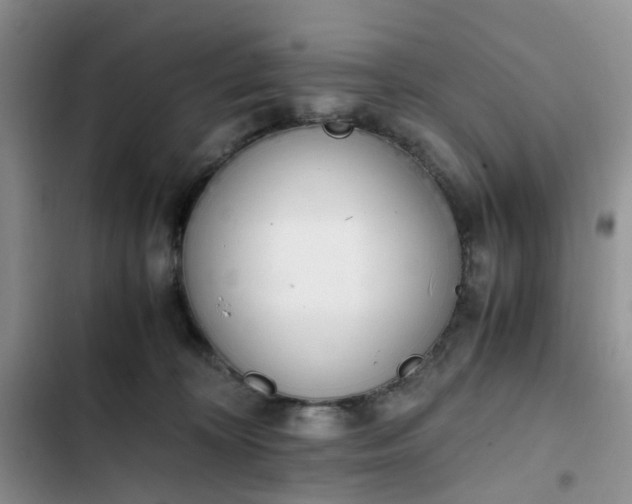 X0000102760324200808251034