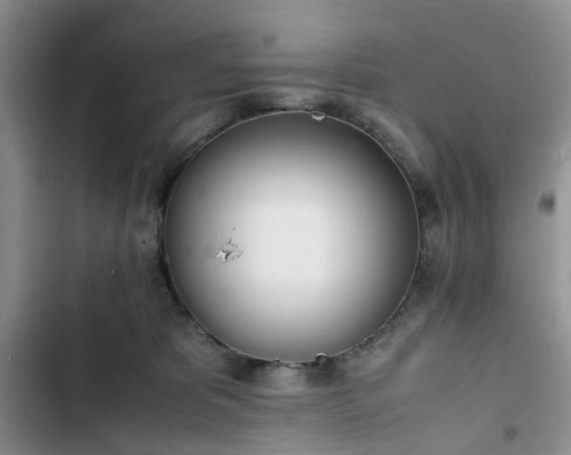 X0000102760325200808251034