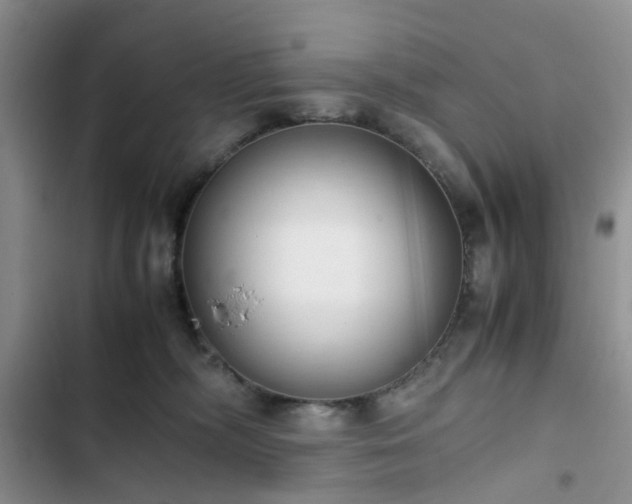 X0000102760326200808251034