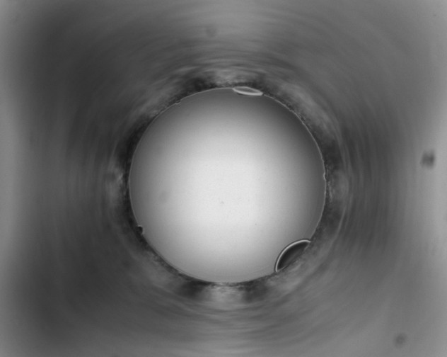 X0000102760327200808251034