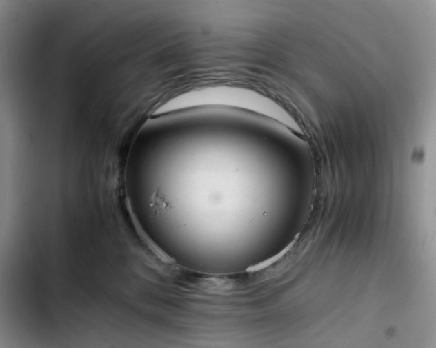 X0000102760328200808251034