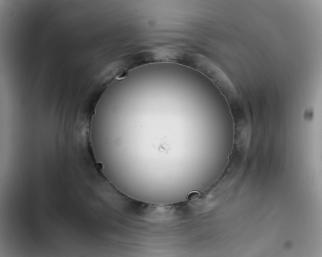 X0000102760329200808251034