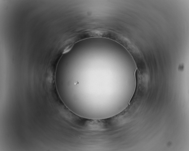 X0000102760331200808251034