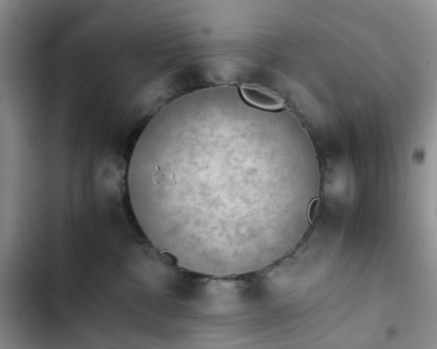 X0000102760332200808251034