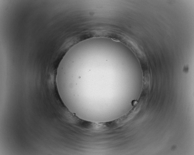 X0000102760333200808251034