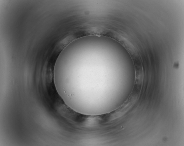 X0000102760334200808251034