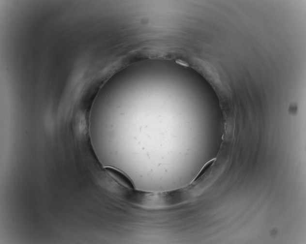 X0000102760335200808251034