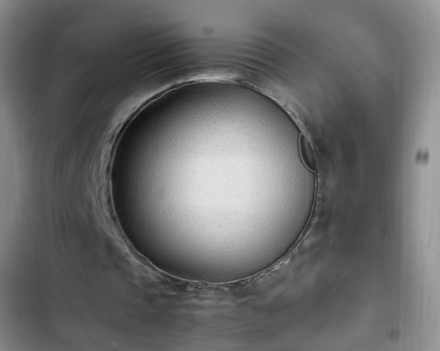 X0000102760337200808251033