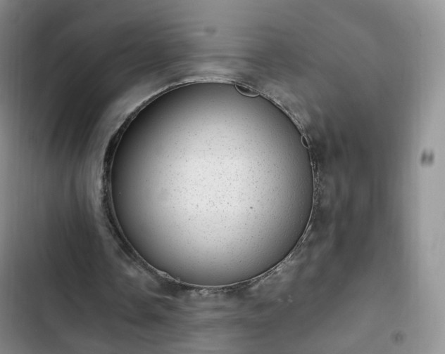 X0000102760338200808251033