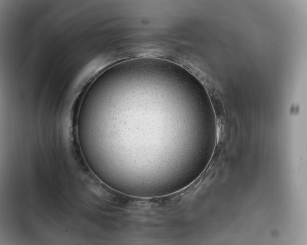 X0000102760339200808251033