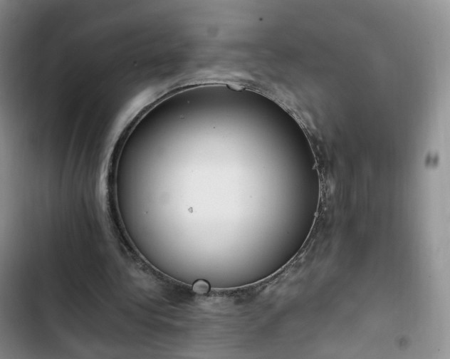 X0000102760340200808251034