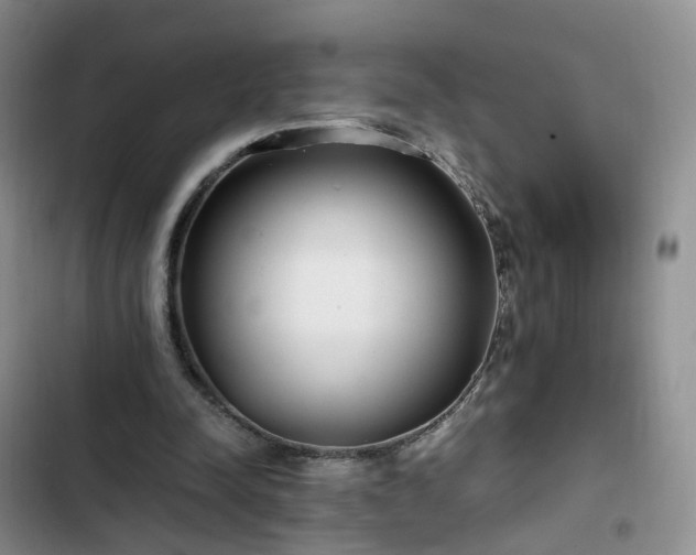 X0000102760342200808251034