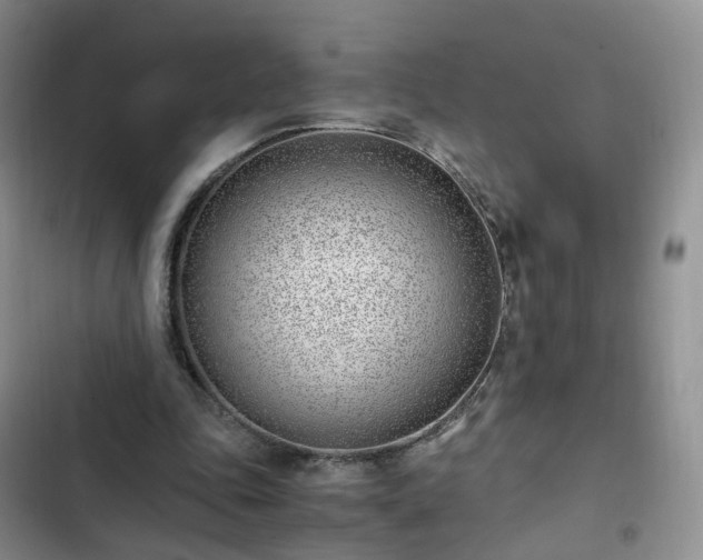 X0000102760343200808251034